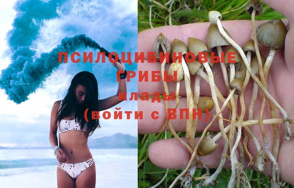 амф Коряжма
