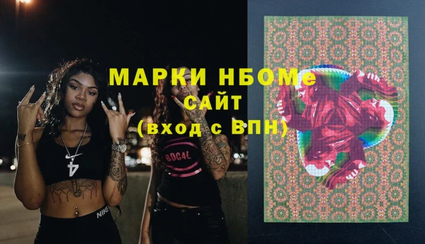 амф Коряжма