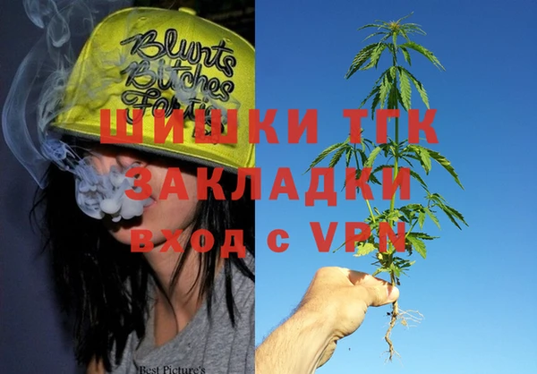 кокс Корсаков