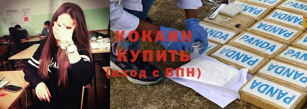 кокс Корсаков